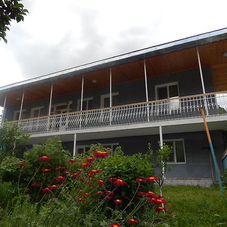 Ineza'S Guest House Kazbegi Rum bild