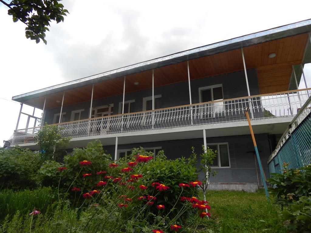 Ineza'S Guest House Kazbegi Rum bild