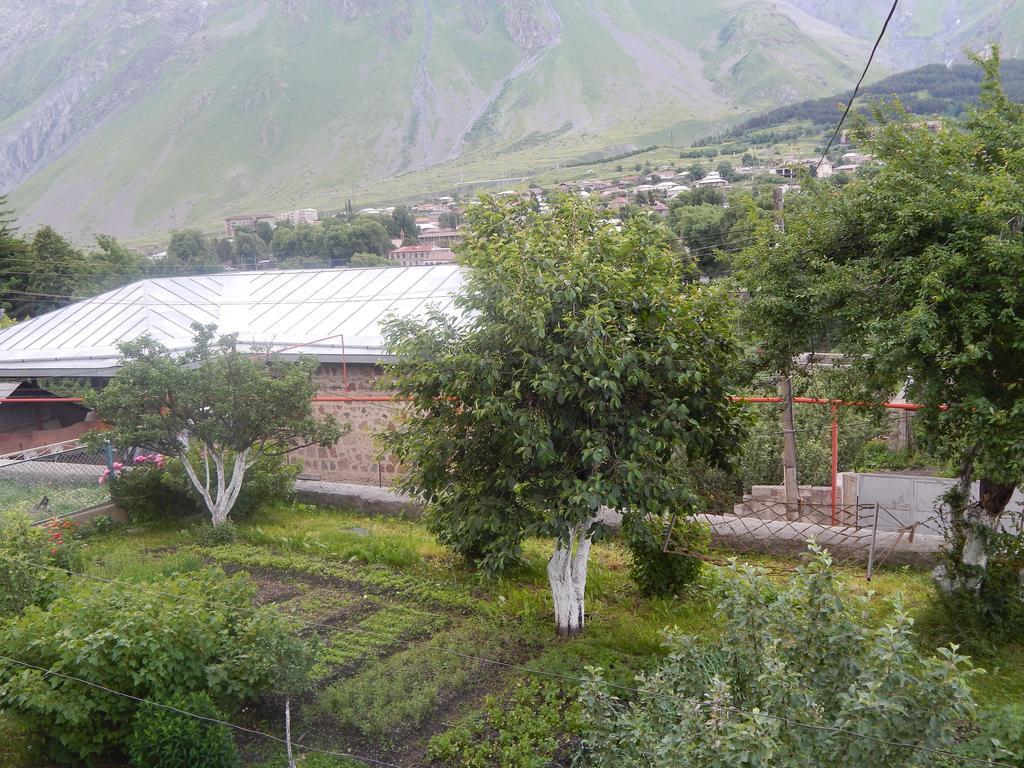 Ineza'S Guest House Kazbegi Exteriör bild