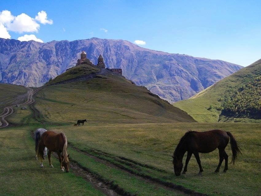 Ineza'S Guest House Kazbegi Exteriör bild